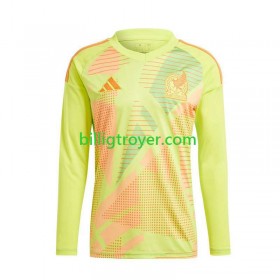 Billige Fotballdrakter Mexico Keeper Bortedraktsett EM 2024 Langermet